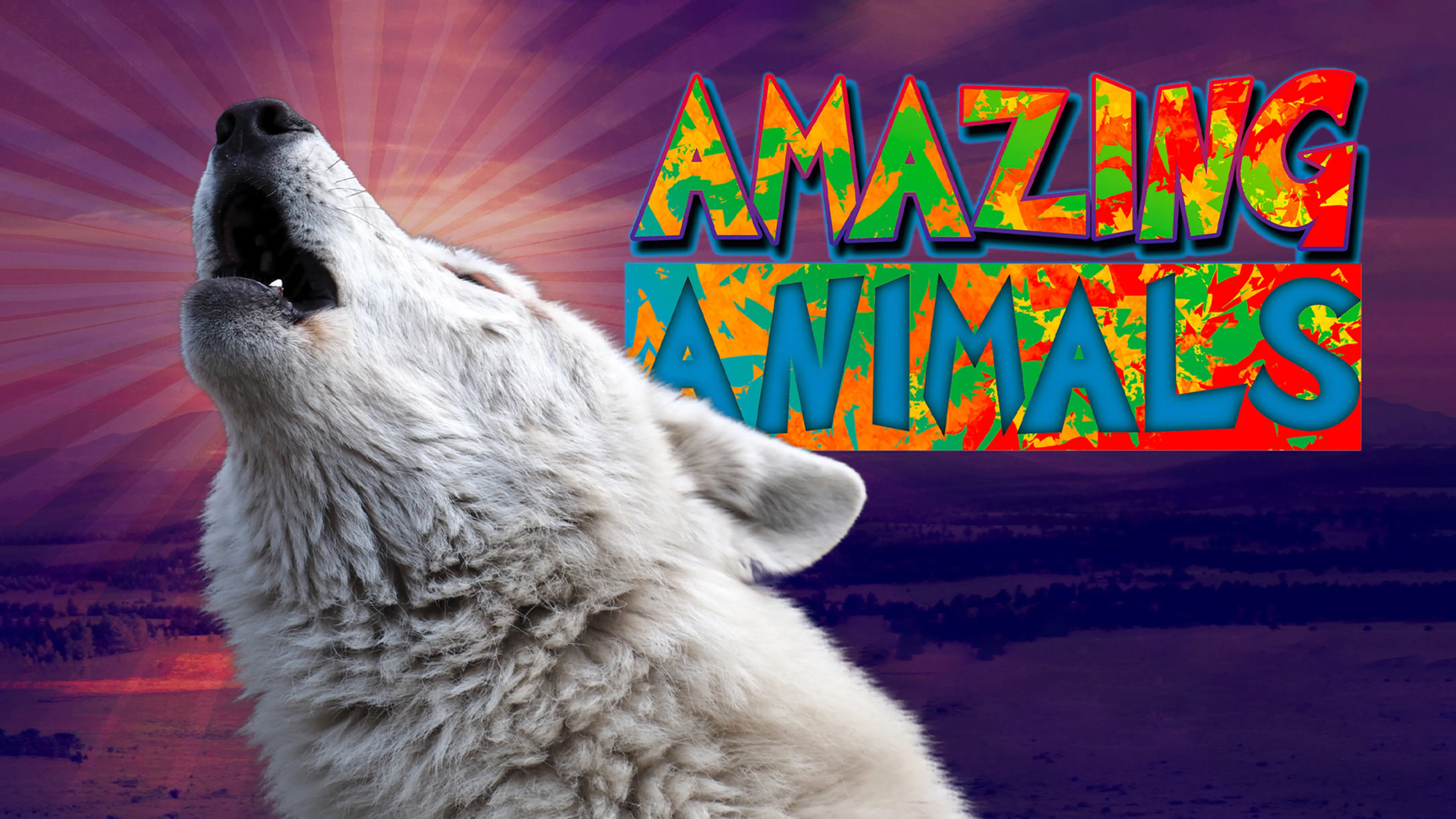 Amazing Animals poster